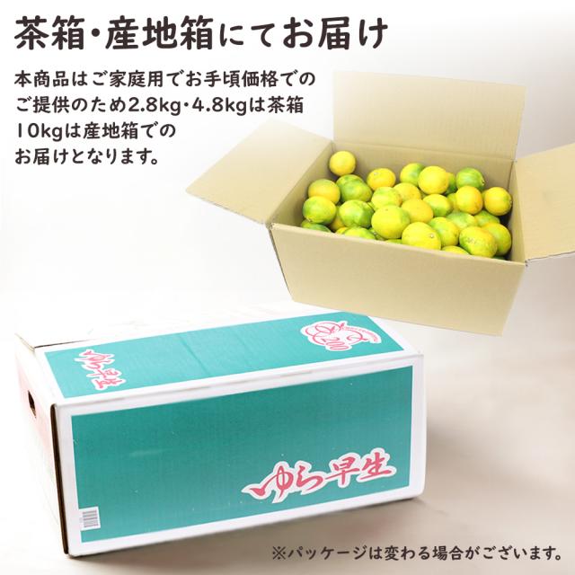 ゆら早生