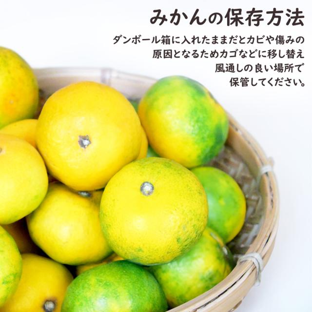 ゆら早生