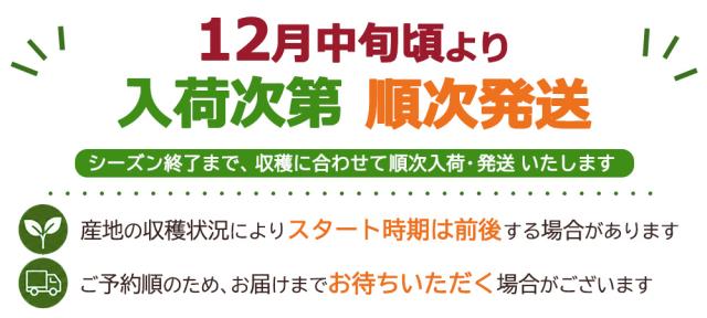 12月中旬