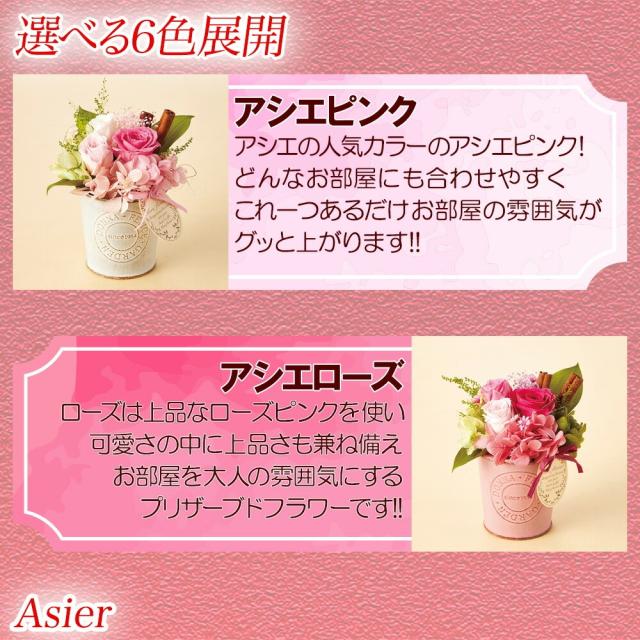 4種から選べるプリザーブドフラワー