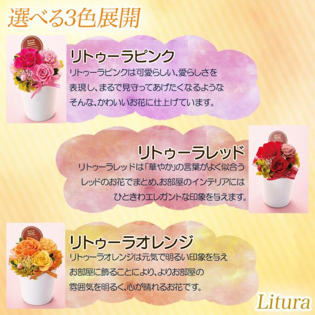 4種から選べるプリザーブドフラワー