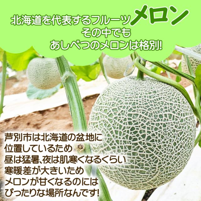 あしべつメロン