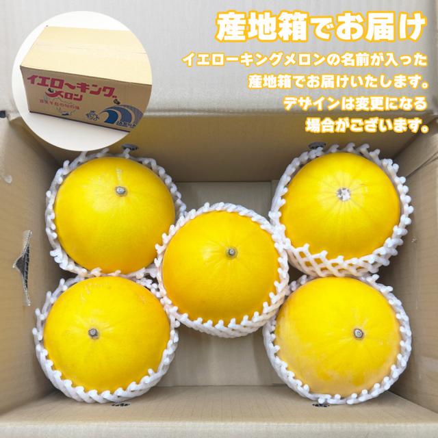 イエローキングメロン