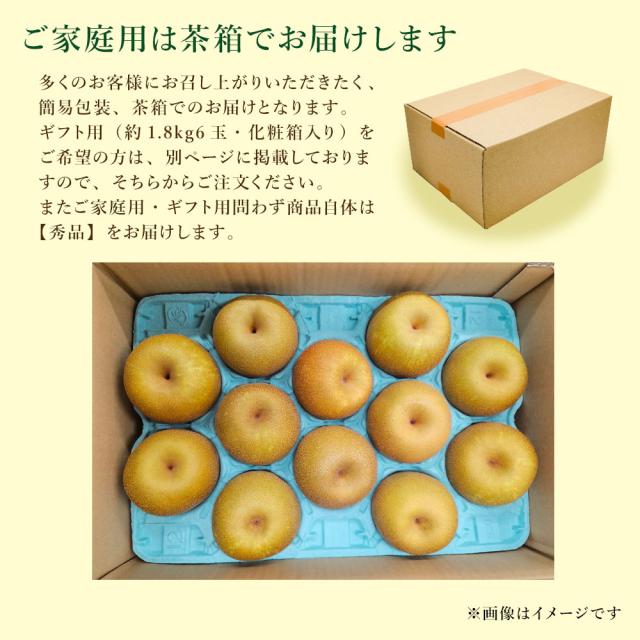 福岡県産 玉水梨