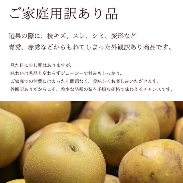 訳あり 梨