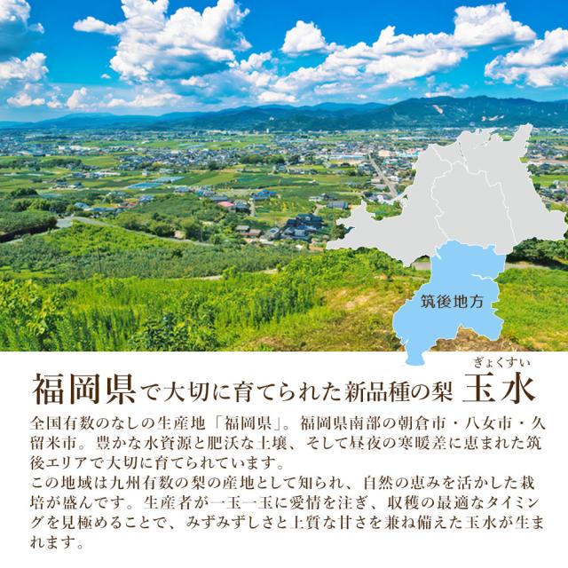福岡県産 玉水梨