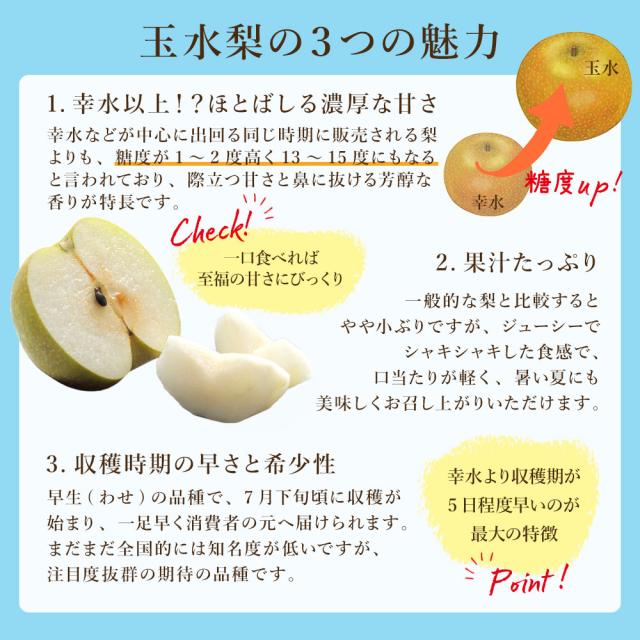 福岡県産 玉水梨