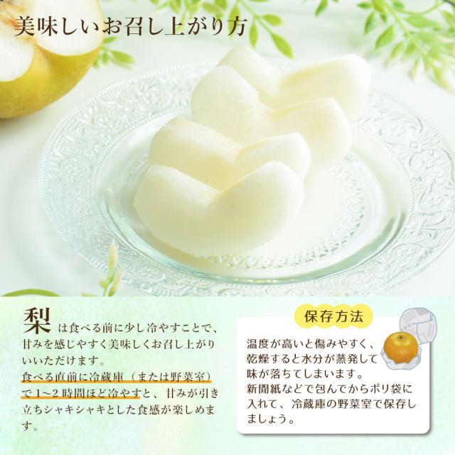 福岡県産 玉水梨