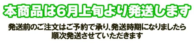 時期