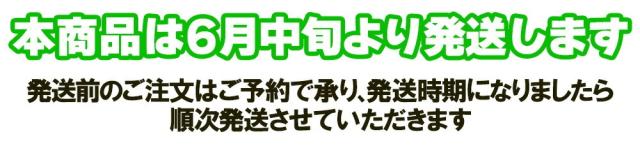 6月中旬