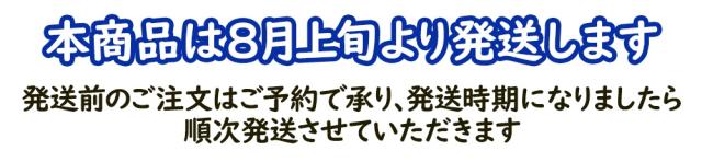 8月上旬