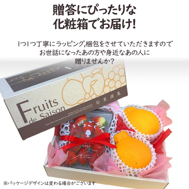 イチゴとデコポン