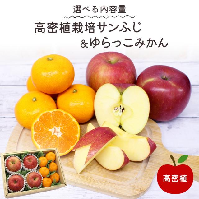 高密植サンふじ&ゆらっこ