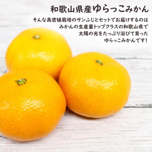 高密植サンふじ&ゆらっこ