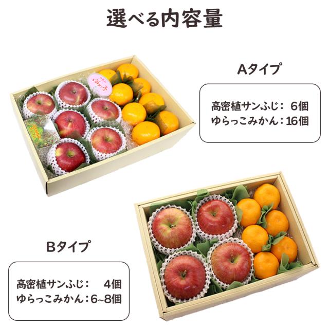 高密植サンふじ&ゆらっこ