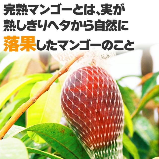 pm-set