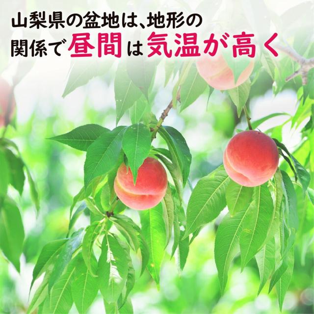 シャインマスカット桃