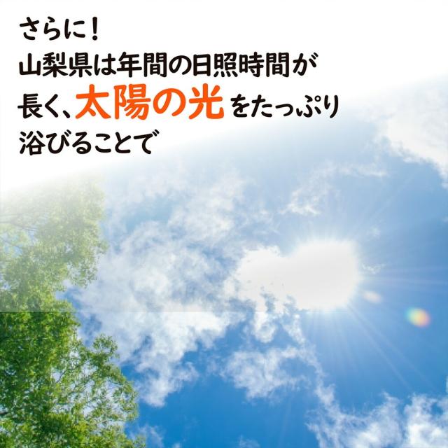 シャインマスカット桃