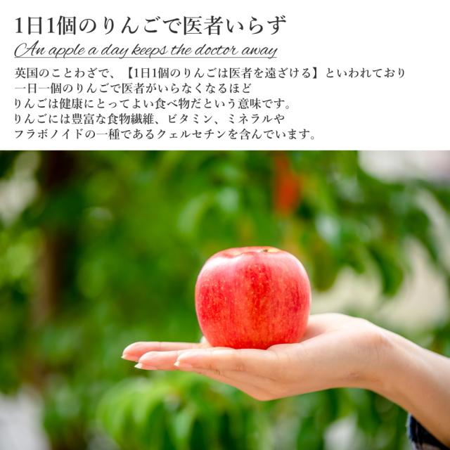 フルーツセット 冬 詰め合わせ 果物 お歳暮