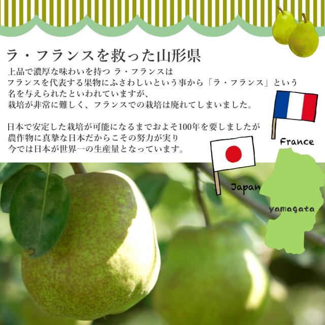 フルーツセット 冬 詰め合わせ 果物 お歳暮