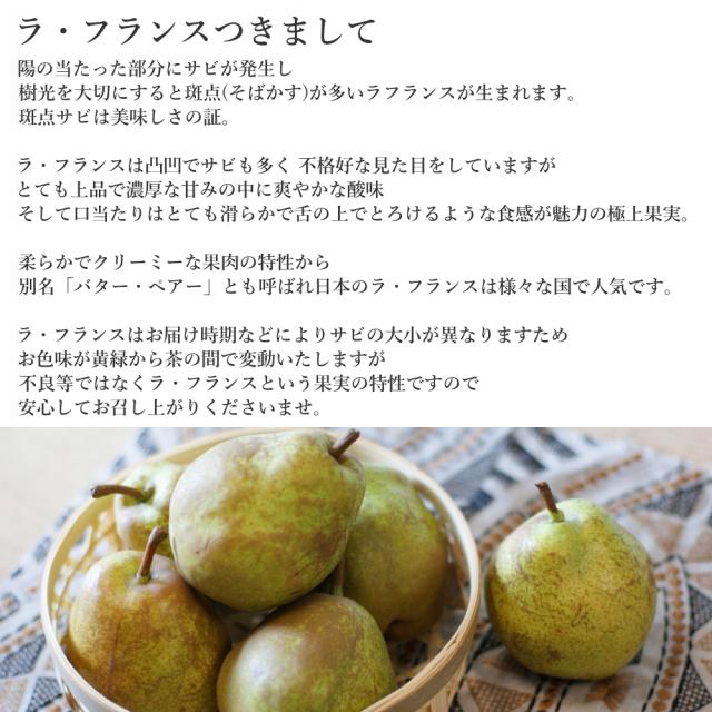 フルーツセット 冬 詰め合わせ 果物 お歳暮