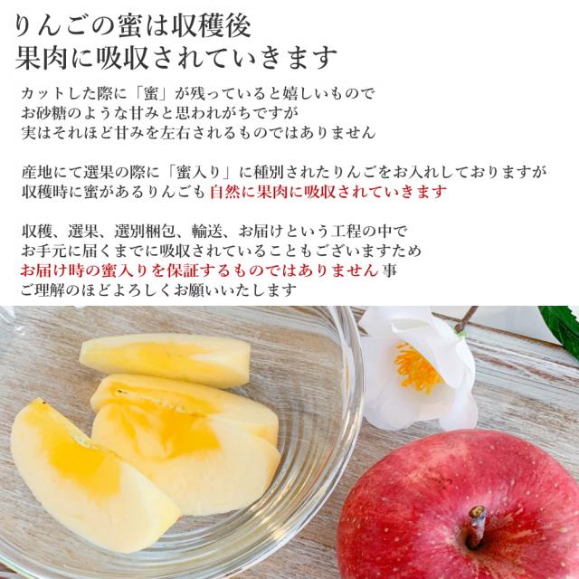 フルーツセット 冬 詰め合わせ 果物 お歳暮