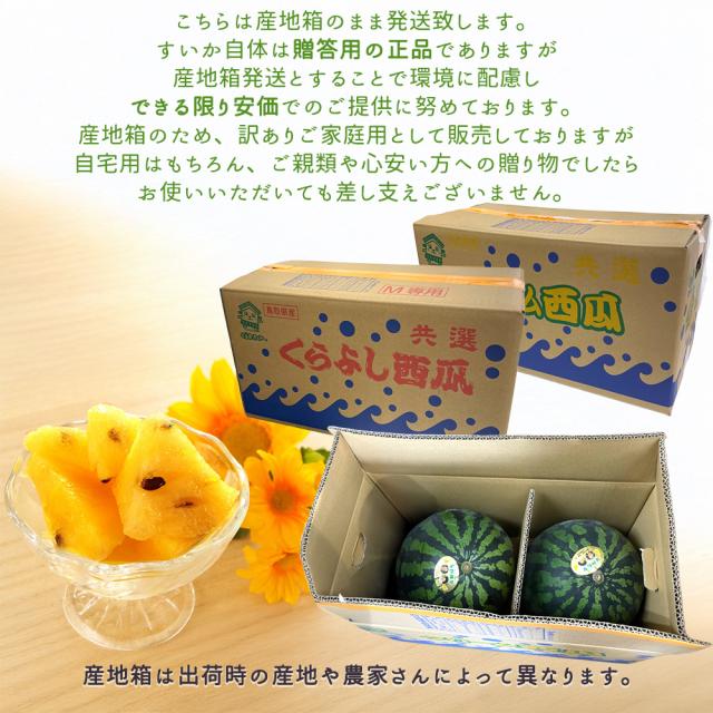 産地箱でお届け 訳あり