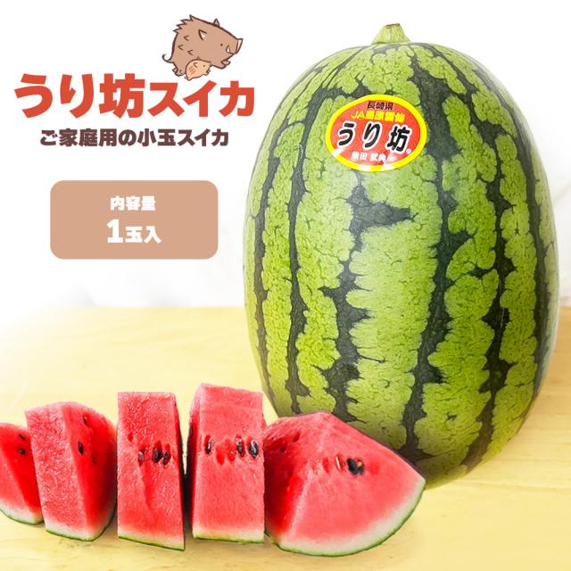うり坊スイカ