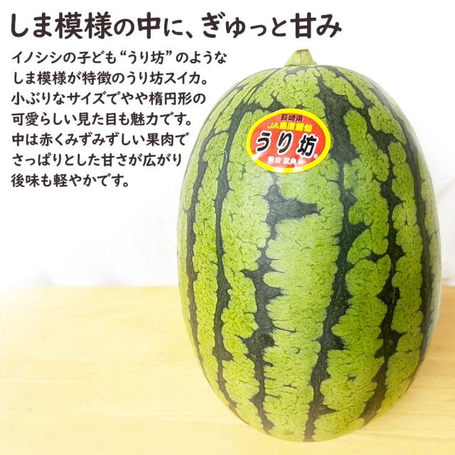 うり坊スイカ