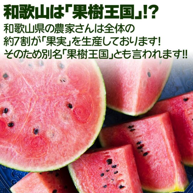 ピノガール