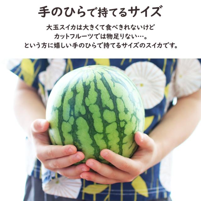 ひとりじめスイカ