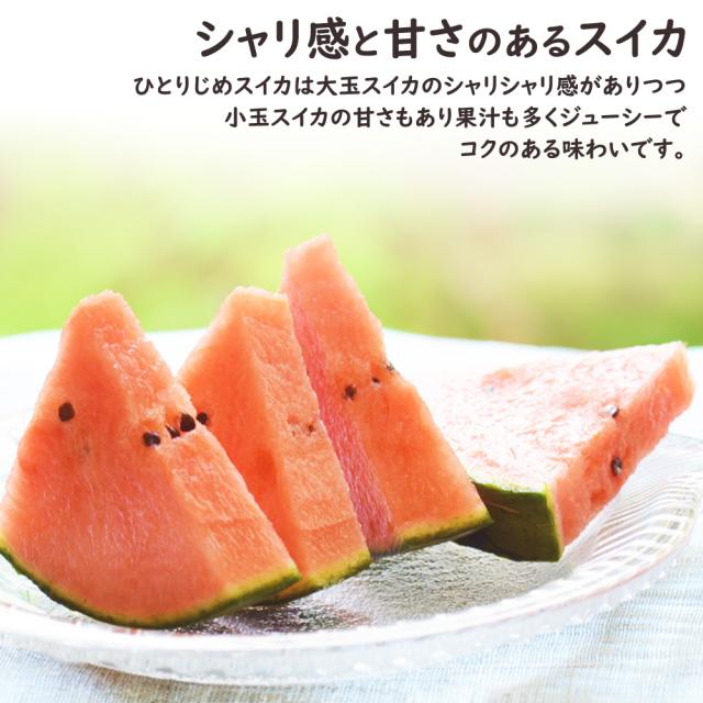 ひとりじめスイカ