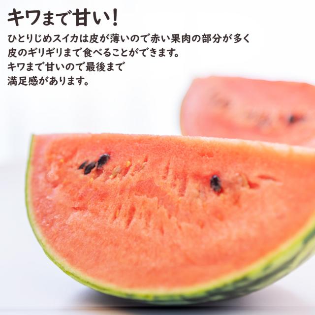 ひとりじめスイカ