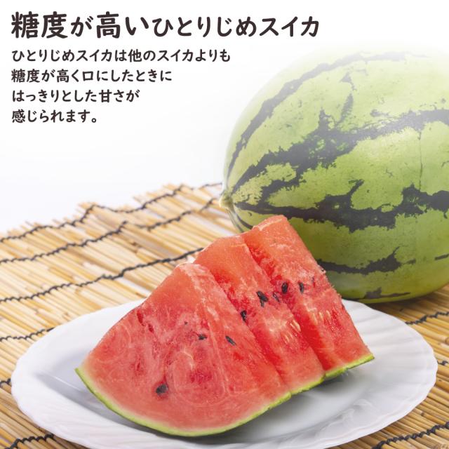 ひとりじめスイカ