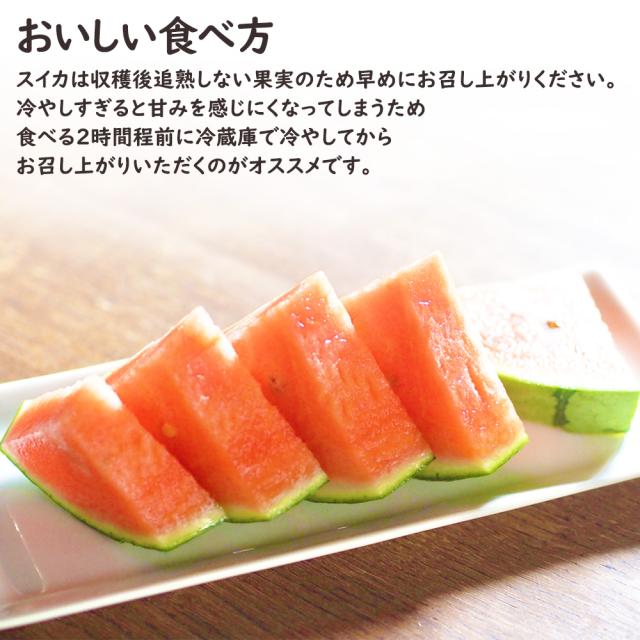 ひとりじめスイカ