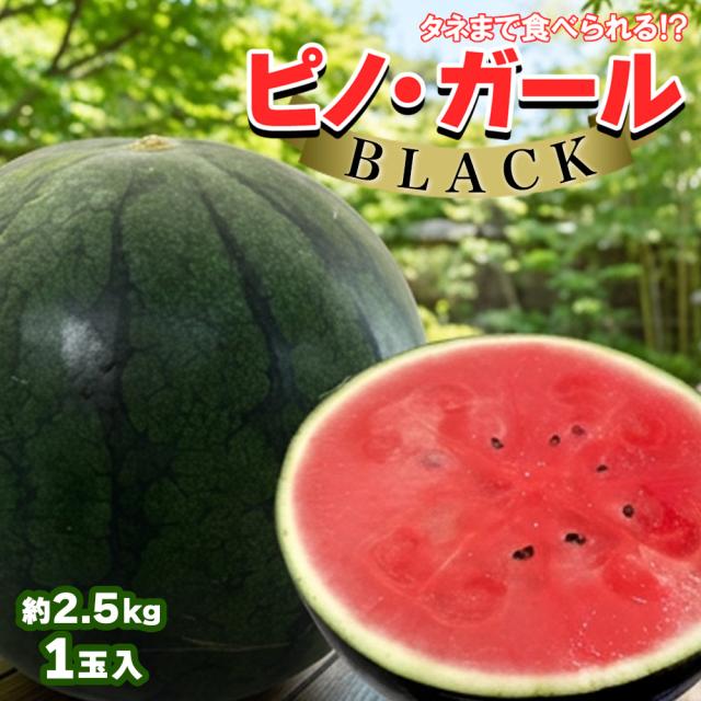 ピノガール