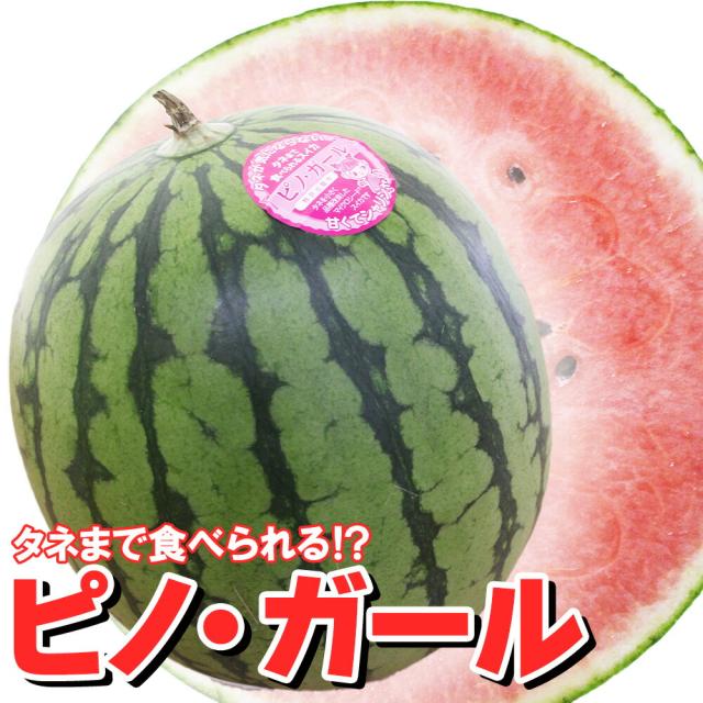 ピノガール