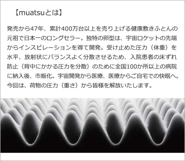 【商品レビューで＋5％】ポータークラシック リュック Porter Classic muatsu NEWTON DAYPACK S ニュートン 11.5L PC-050-1415