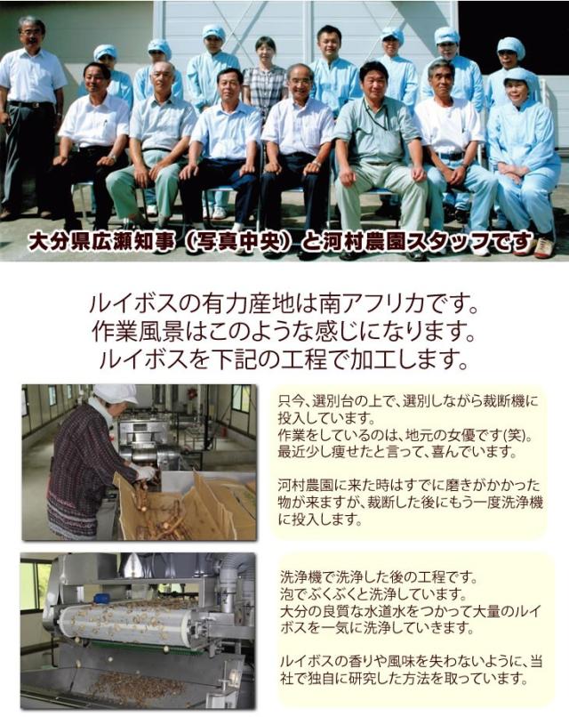 ルイボスティー