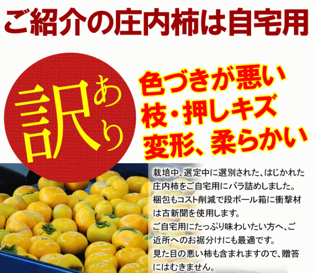 庄内柿４
