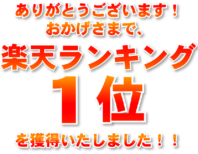 ランキング1位を獲得しました