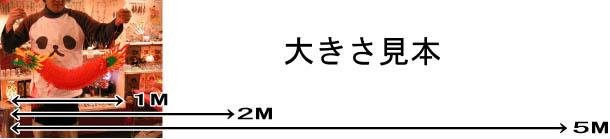大きさ比較