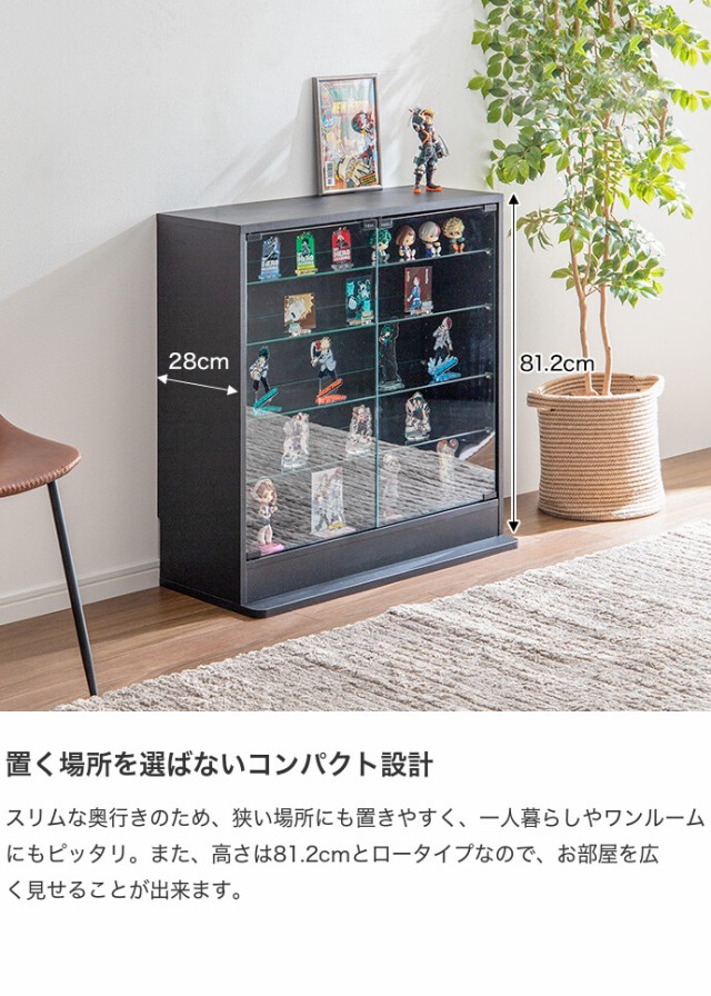 【g147008】Legen レーゲン コレクションケース ガラスケース 