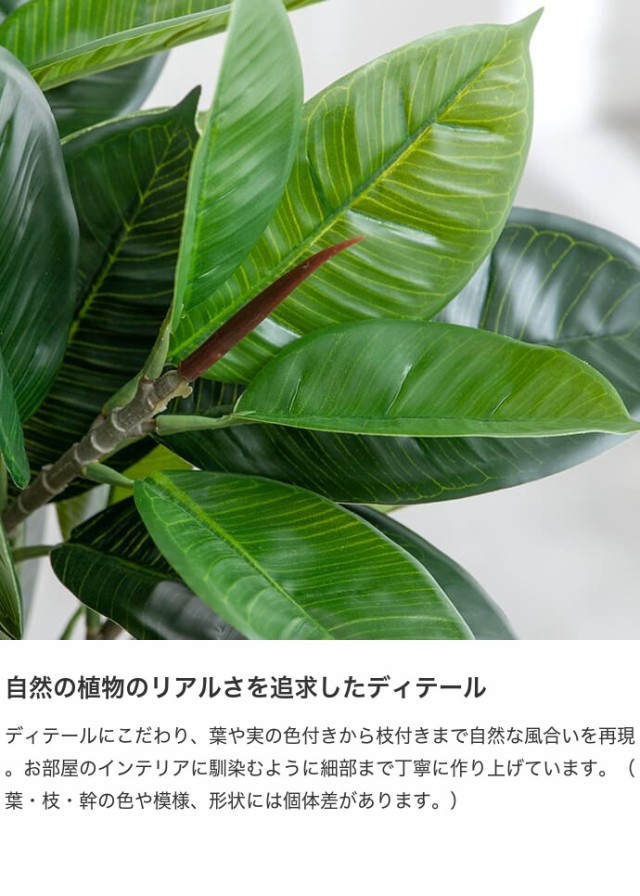 g162005】観葉植物 ゴムの木 フィカス フェイクグリーン 人工観葉植物