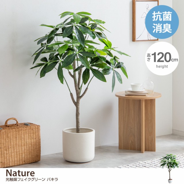 日本製 フェイクグリーン/観葉植物 【壁掛け ホヤ】 高さ50cm 光触媒 消臭