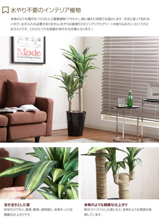 お手入れ不要 リアル グリーン G 光触媒 観葉植物 人工植物 ドラセナ 通販 水やり不要 高さ1 1m Dracaena Gordonterrace Ca