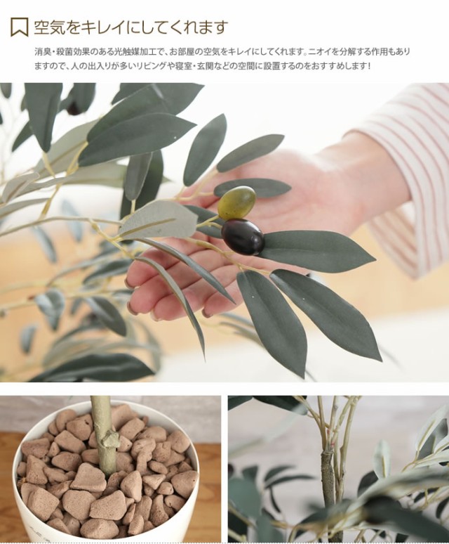 g46046】光触媒 フェイクグリーン 観葉植物 人工観葉植物 グリーン ...