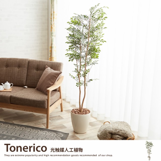 【g46028】観葉植物 トネリコ toneriko tonerico 室内 イミテーショングリーン 人工 造花 植物 大型 光触媒 おしゃれ グリーン