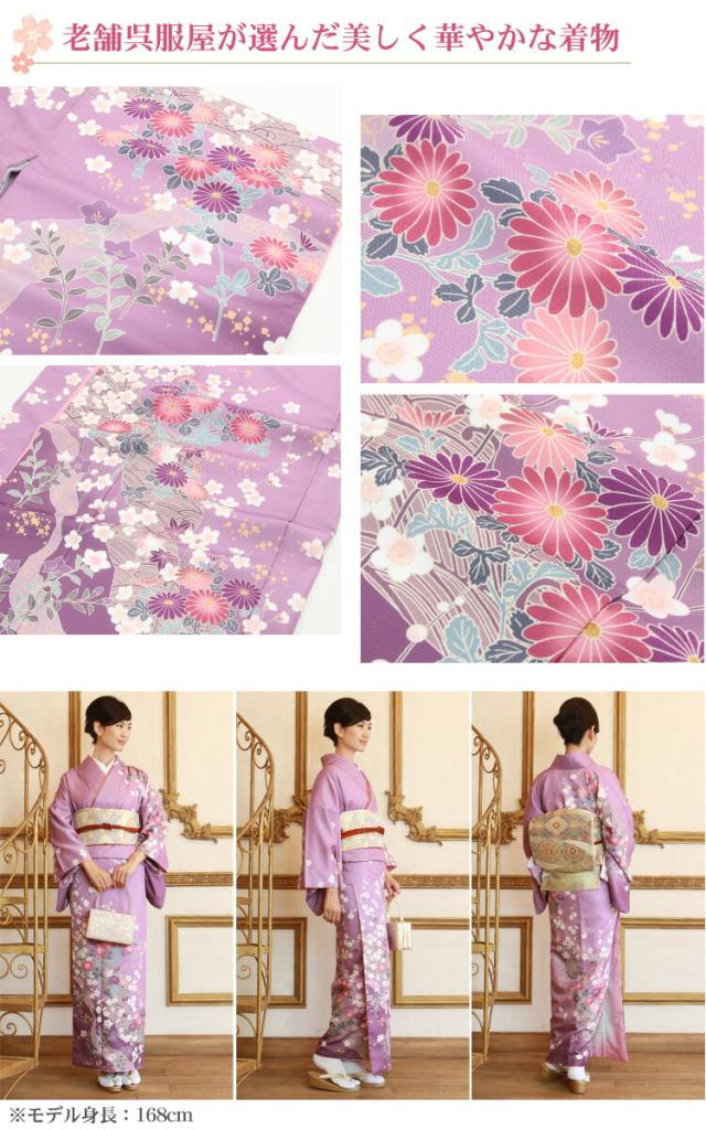 訪問着 レンタル 19点フルコーディネートレンタルセット「紫地に菊 桜