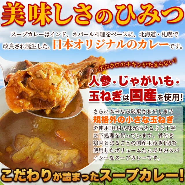 ゴロッと 玉ねぎ と骨付き チキン の スープカレー【2人前 （260g×２袋